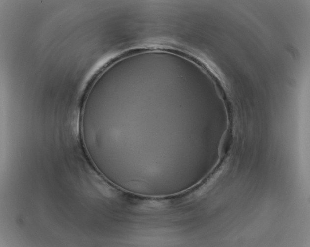 X0000114101224200910191635