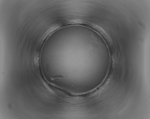 X0000114101225200910191635