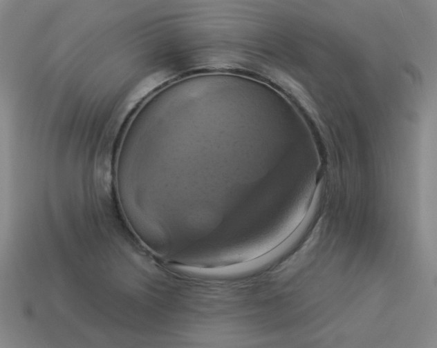 X0000114101226200910191635