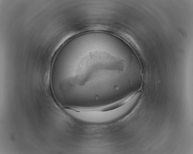 X0000114101228200910191635