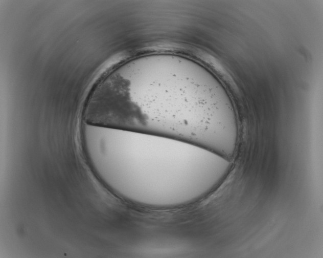 X0000114101229200910191635