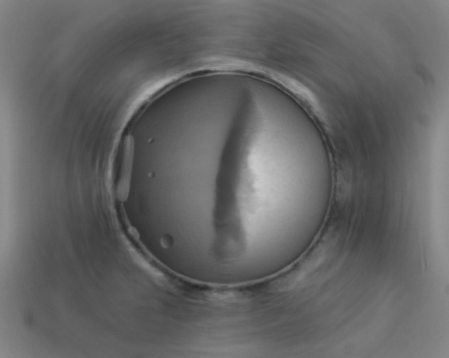 X0000114101231200910191635