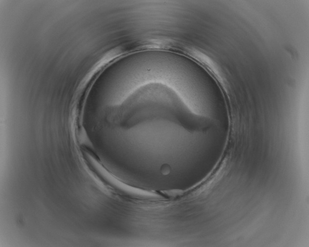 X0000114101235200910191635