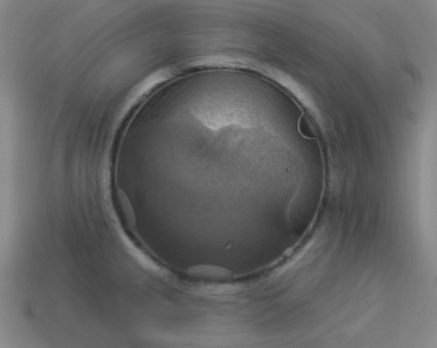 X0000114101237200910191635