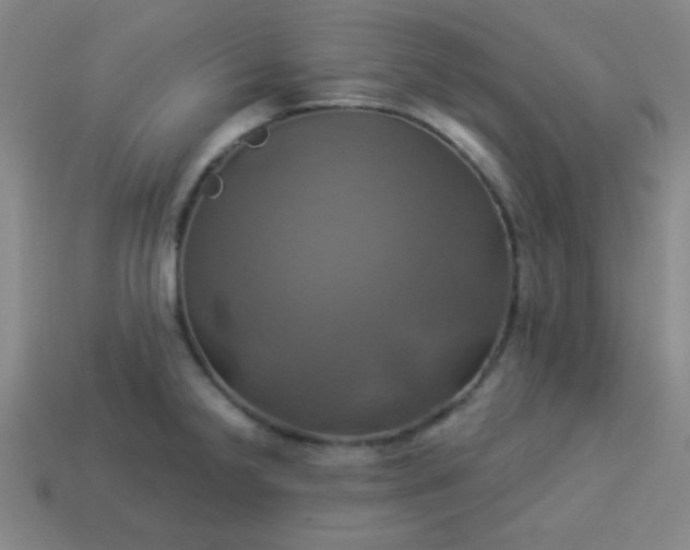 X0000114101238200910191635