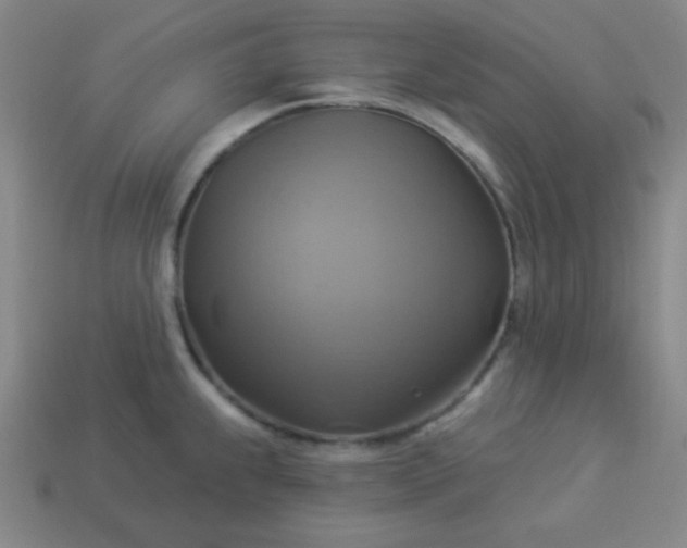 X0000114101239200910191635