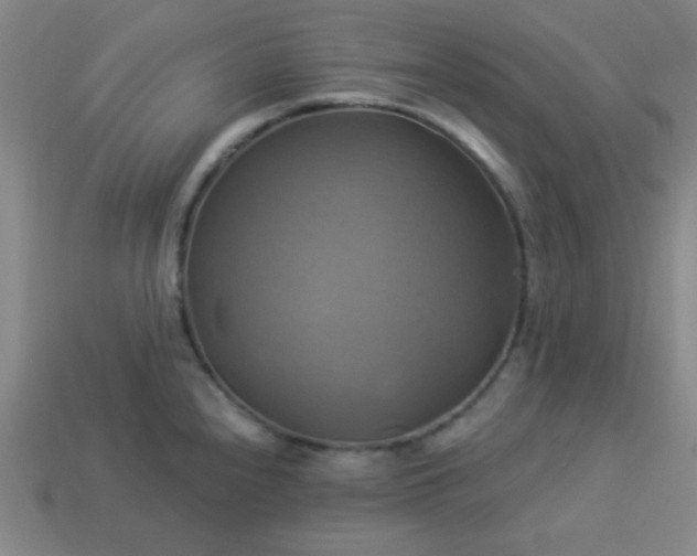 X0000114101240200910191635