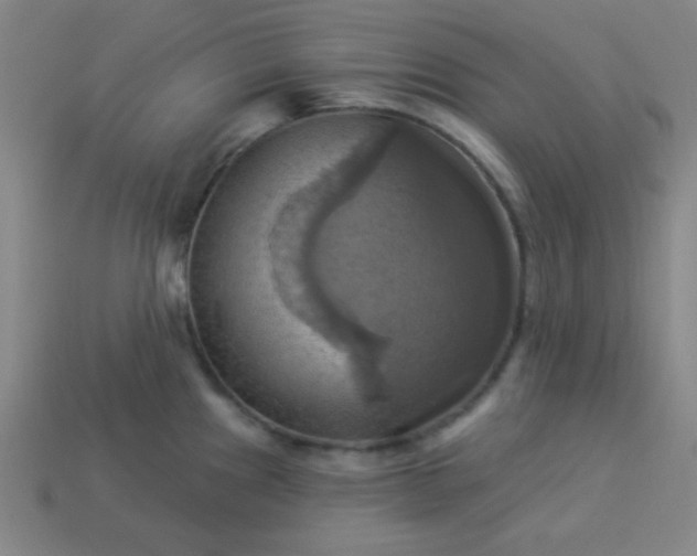 X0000114101241200910191635