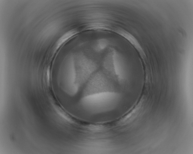 X0000114101242200910191635