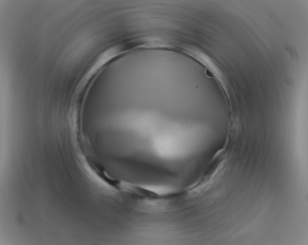 X0000114101243200910191635