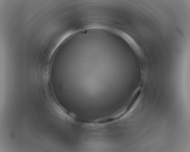 X0000114101244200910191635