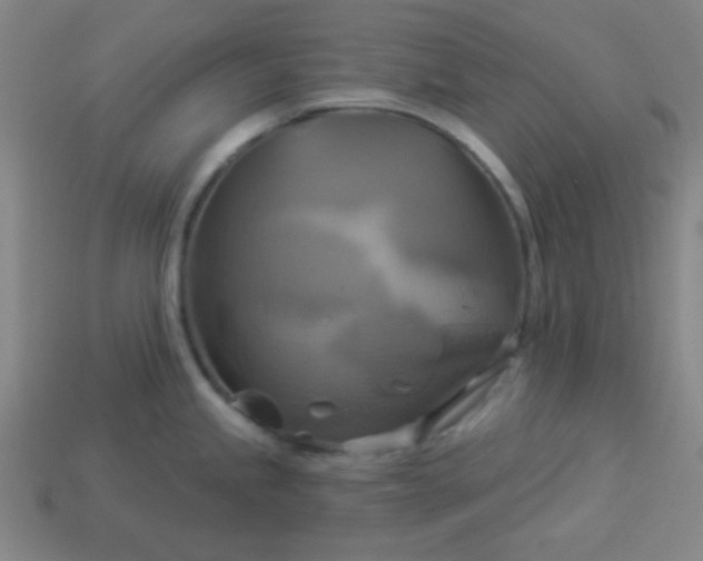 X0000114101245200910191635