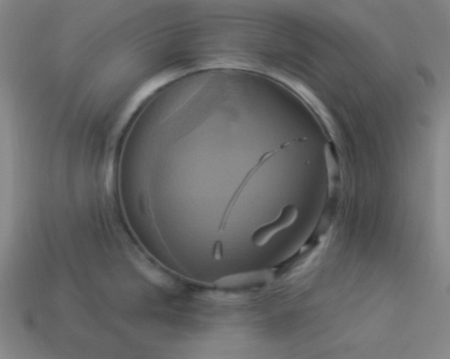 X0000114101246200910191635