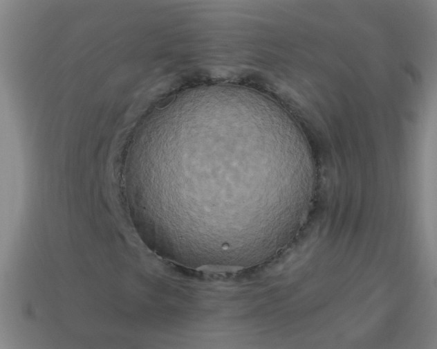 X0000114101249200910191635