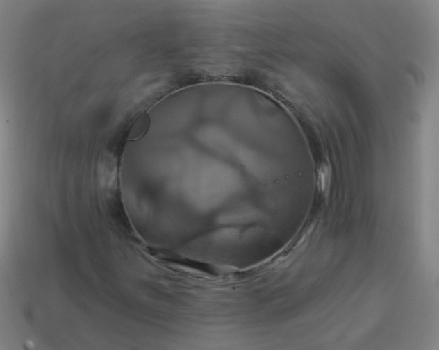 X0000114101251200910191635