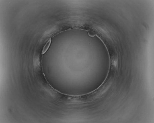 X0000114101252200910191635