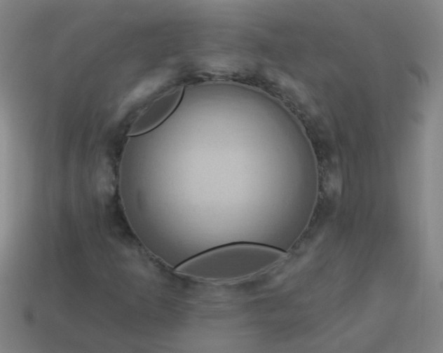 X0000114101253200910191635