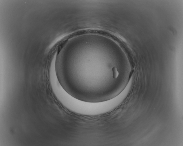 X0000114101255200910191635