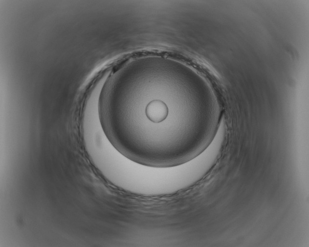 X0000114101256200910191635