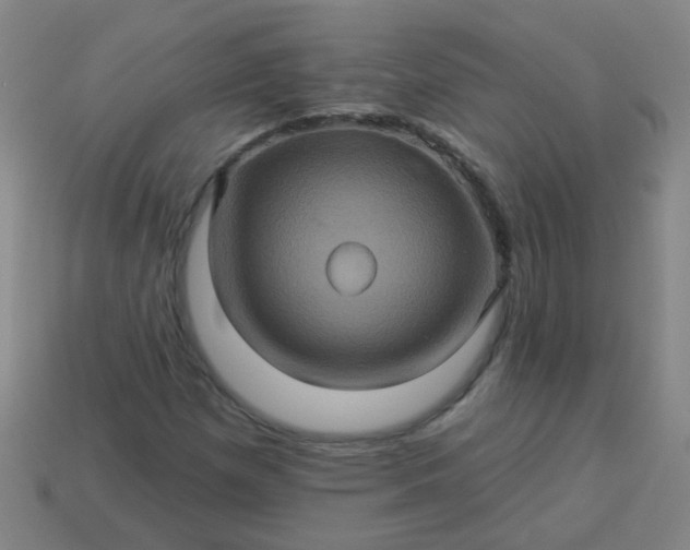 X0000114101257200910191635