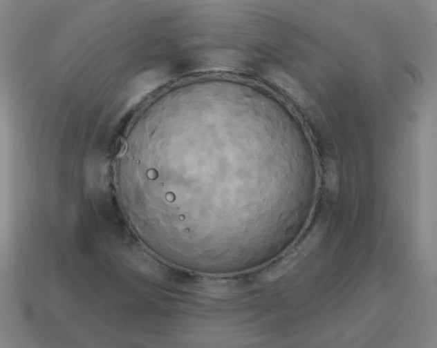 X0000114101258200910191635