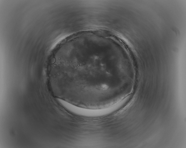 X0000114101259200910191635