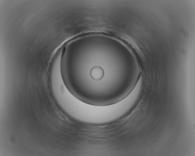 X0000114101260200910191635