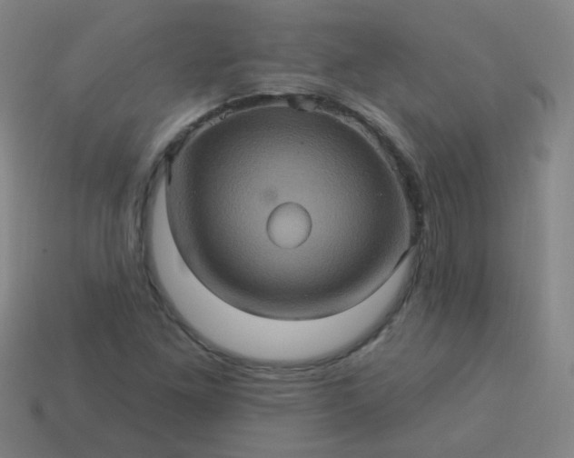 X0000114101261200910191635