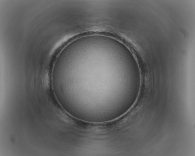 X0000114101262200910191635