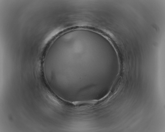 X0000114101263200910191635