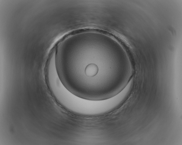 X0000114101264200910191635