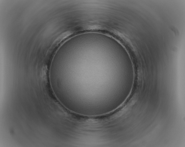 X0000114101265200910191635