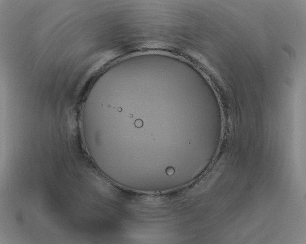 X0000114101266200910191635