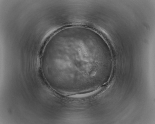 X0000114101267200910191635