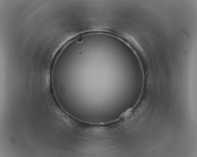 X0000114101268200910191635