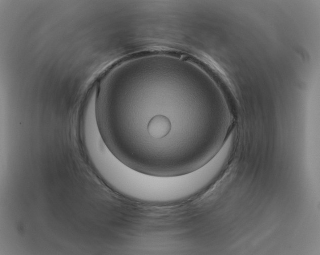 X0000114101269200910191635