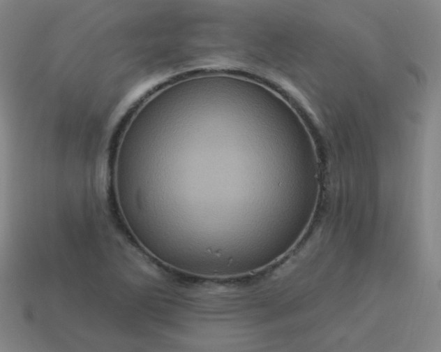 X0000114101270200910191635