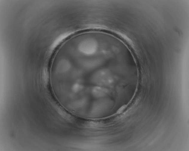 X0000114101271200910191635