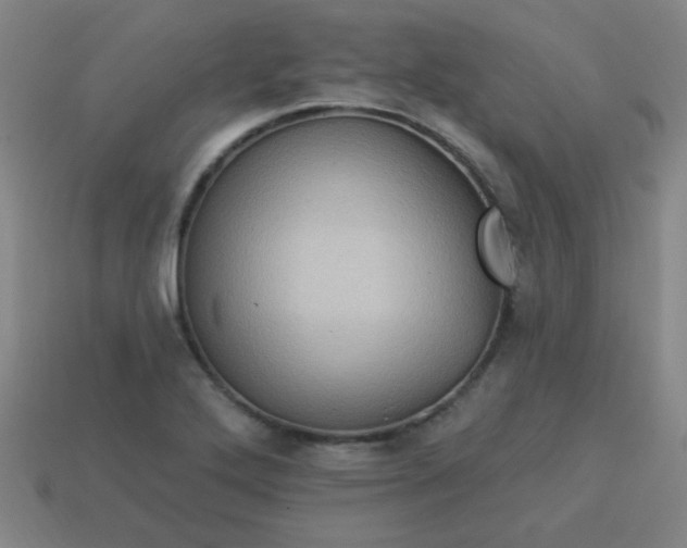 X0000114101272200910191635