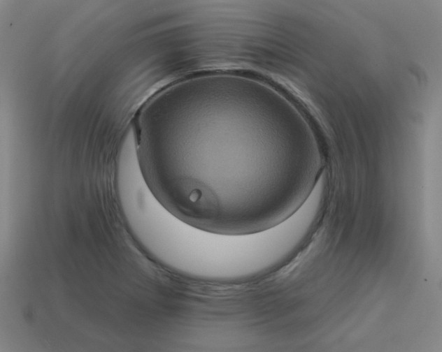 X0000114101273200910191635