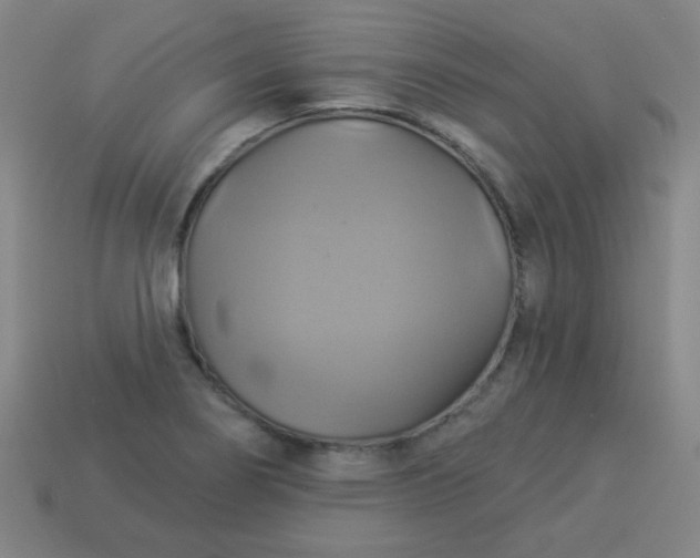 X0000114101274200910191635