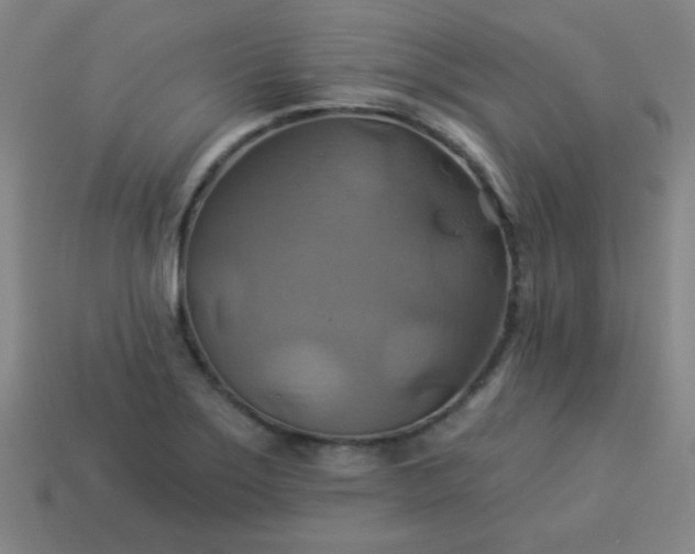 X0000114101275200910191635