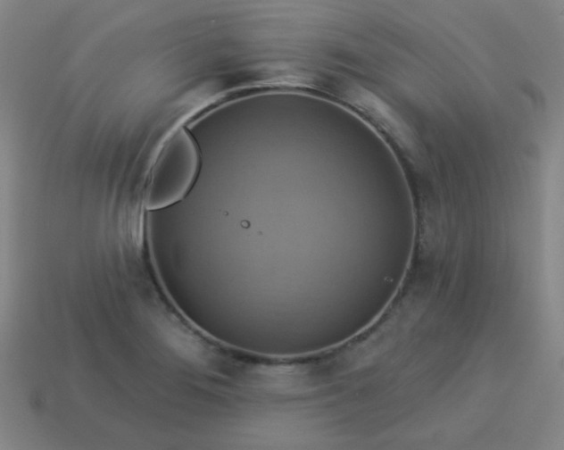 X0000114101276200910191635