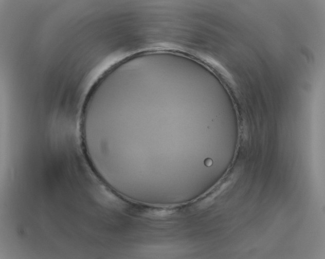 X0000114101278200910191635