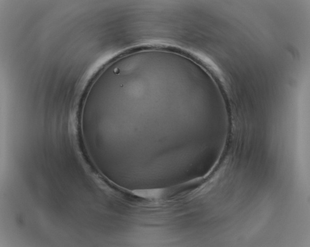 X0000114101279200910191635