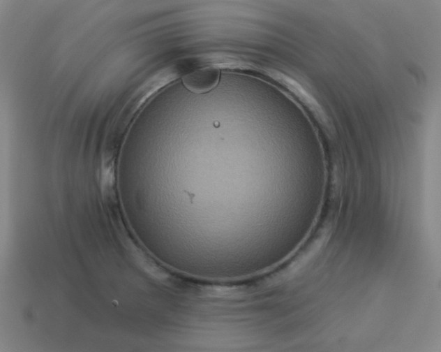 X0000114101281200910191634