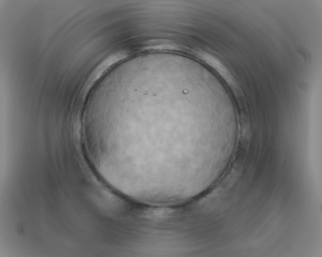 X0000114101282200910191634