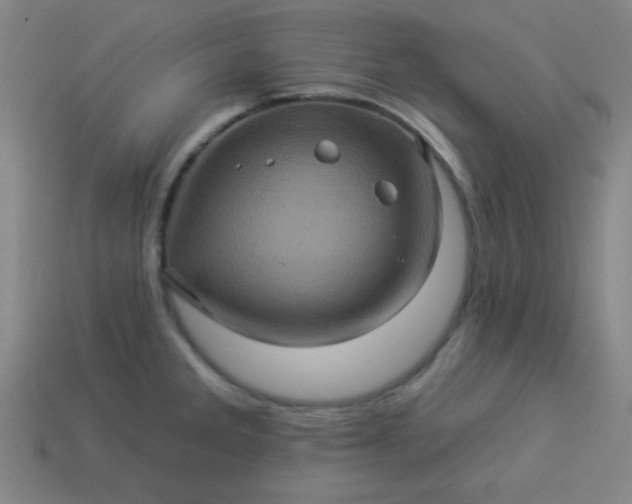 X0000114101285200910191634