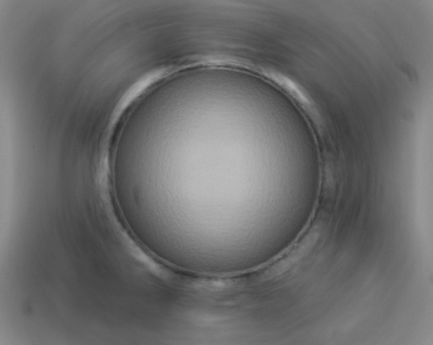 X0000114101286200910191634