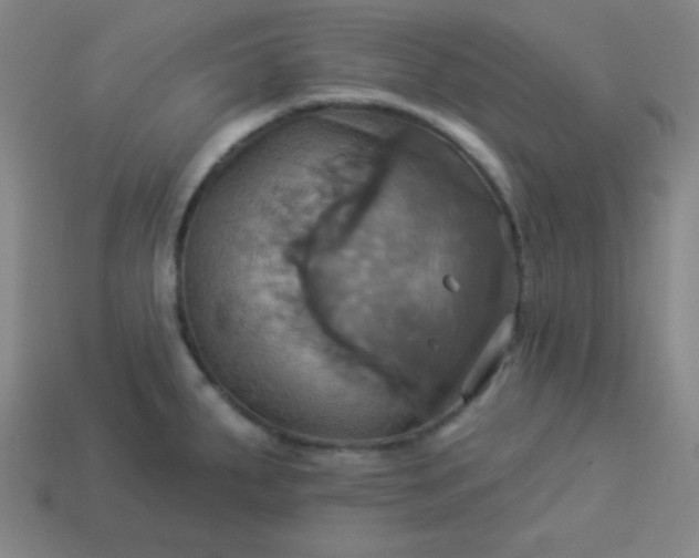 X0000114101287200910191634